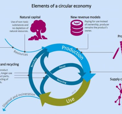 English PBL Elements of Circular Economy 1024x607 1