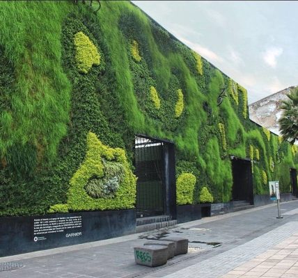 Green wall in University in Mexico City